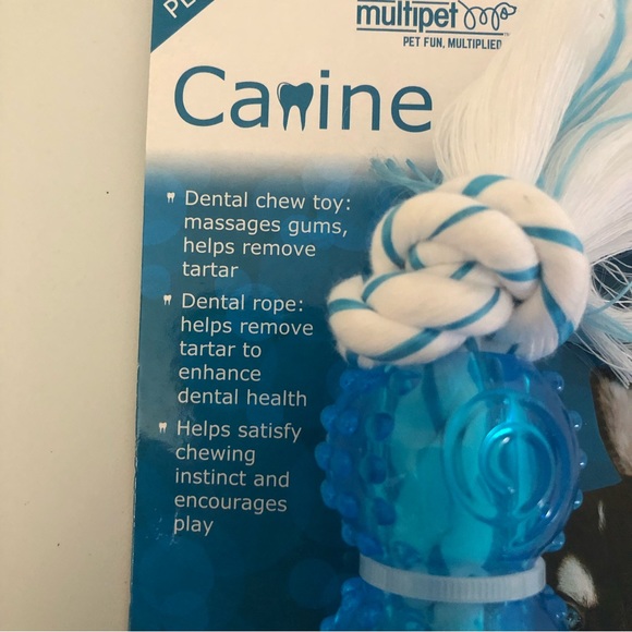 Canine Clean Dog Dental Chew Toy Peppermint Brand New - Picture 3 of 4
